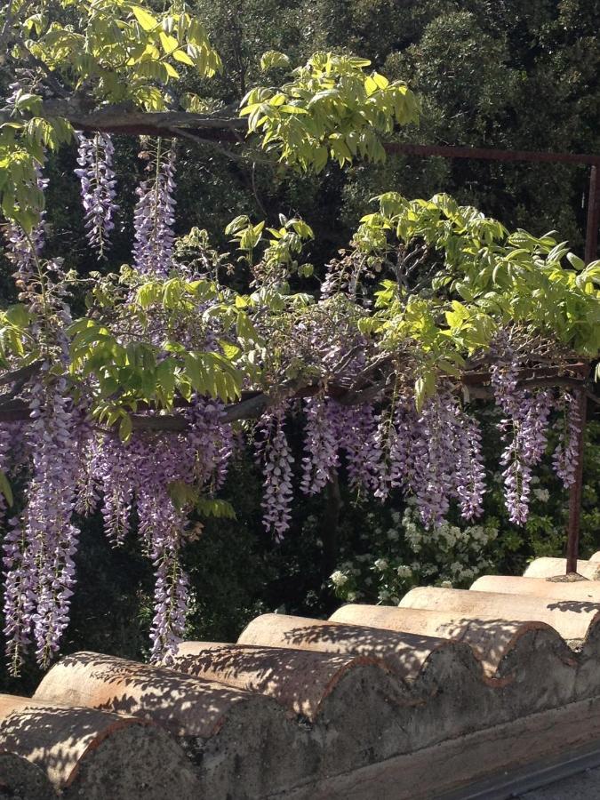 Bastide La Combe Hotel Везон ла Ромен Екстериор снимка